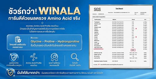 เอกสาร SGS · Amino Acids Composition